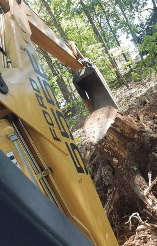 Stump Removal Winston-Salem