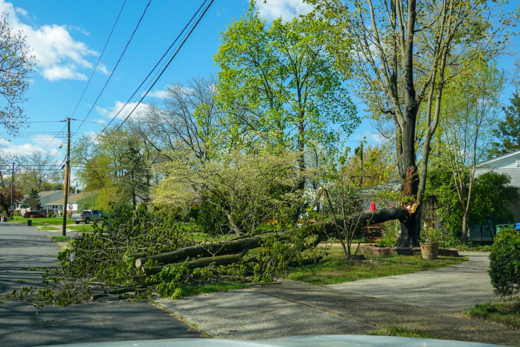 Storm Damage Cleanup