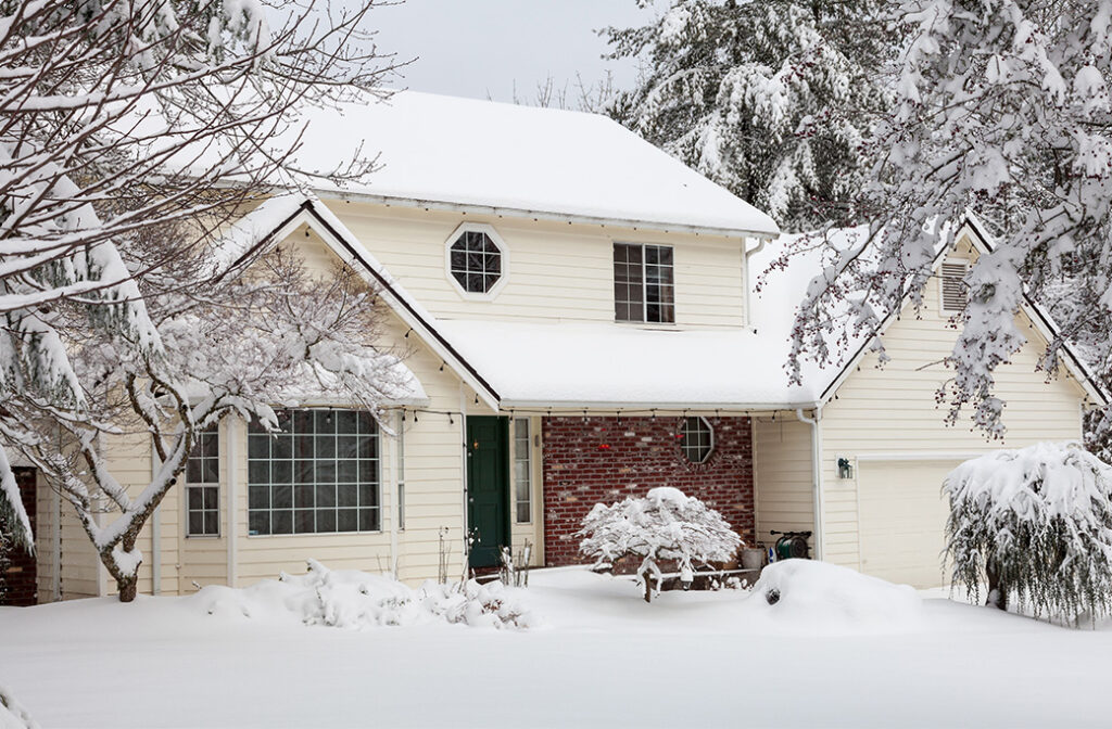 Prepare Trees for Harsh Winter Weather