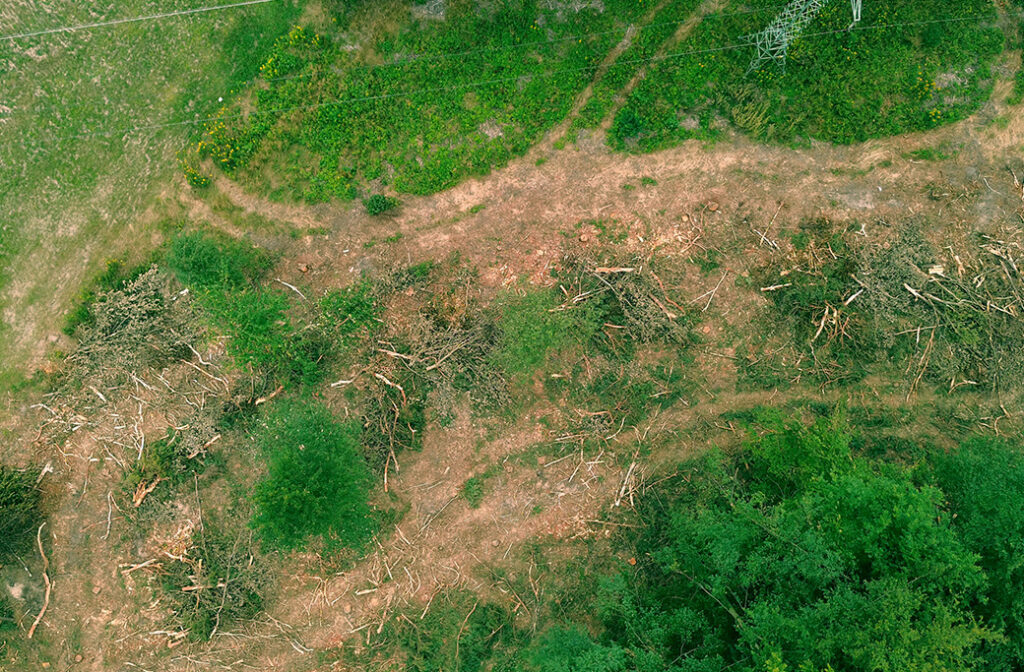 Customized Solutions for Your Unique Lot