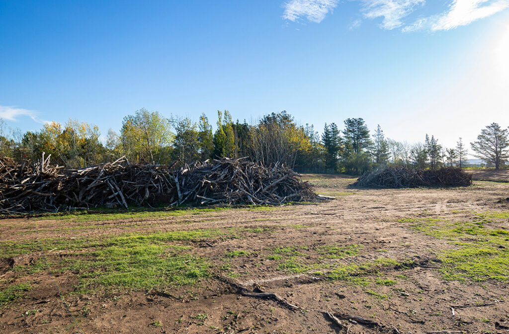 Site Preparation: Laying the Groundwork for Success