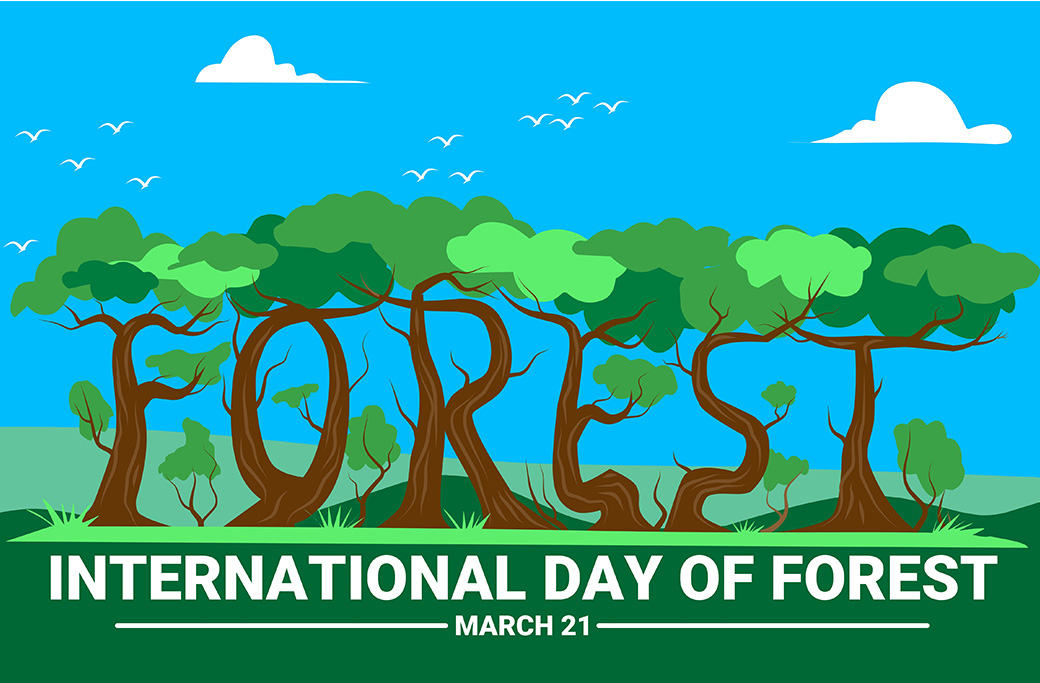 Celebrating International Day of Forests: Why Trees Matter