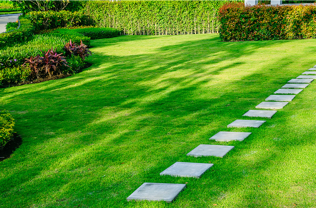 Landscaping Services Near Advance