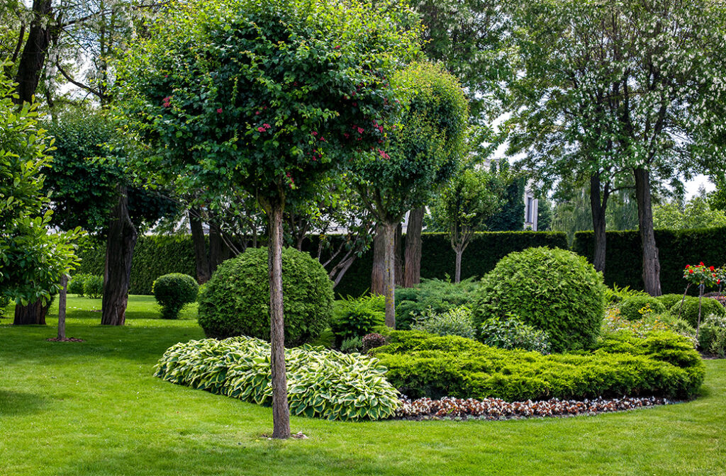 Landscaping Services Near Bermuda Run