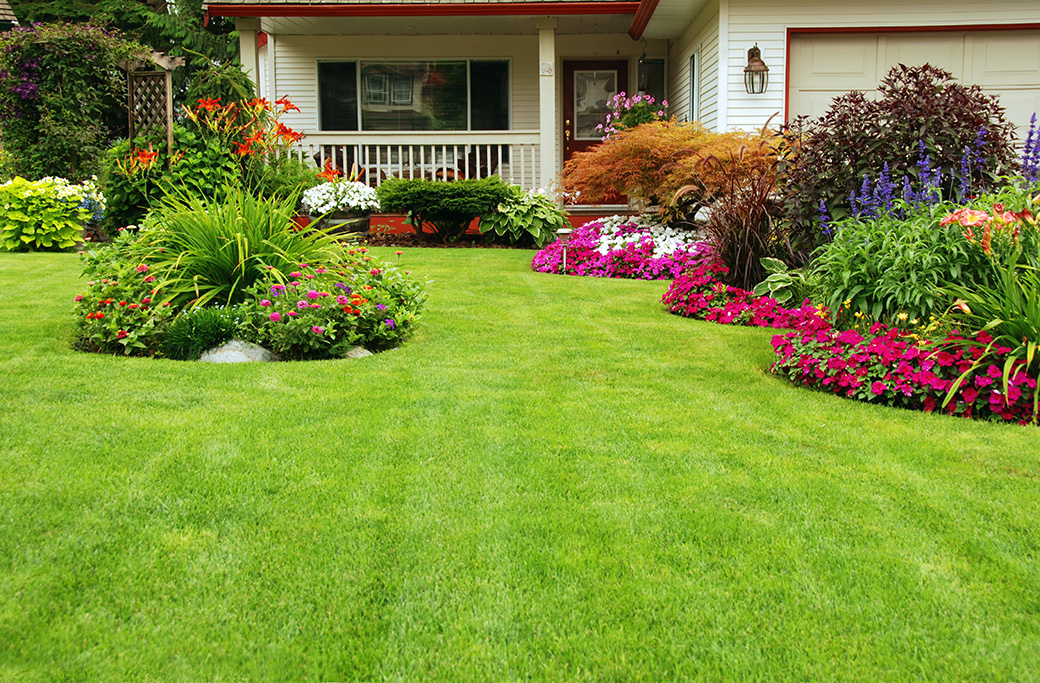 Landscaping Services Near Clemmons
