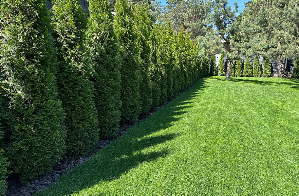 Landscaping Services Near Lewisville