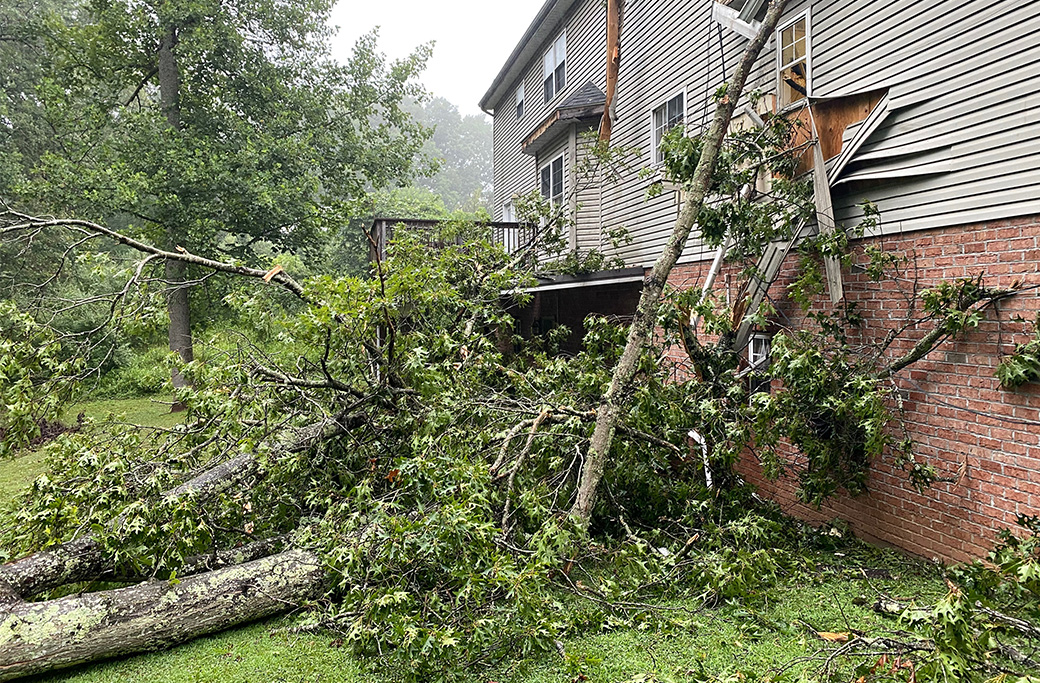 Protecting Your Trees from End-of-Summer Storm Damage