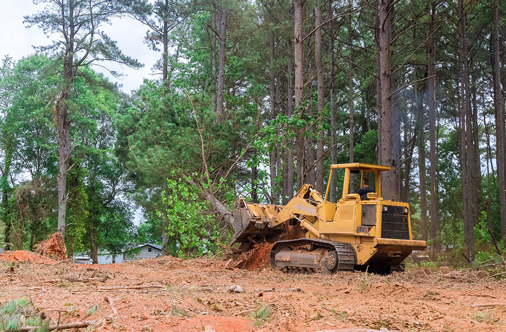 Lot Clearing Near Mocksville