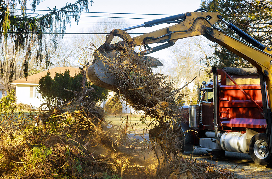 Lot Clearing Near Lewisville