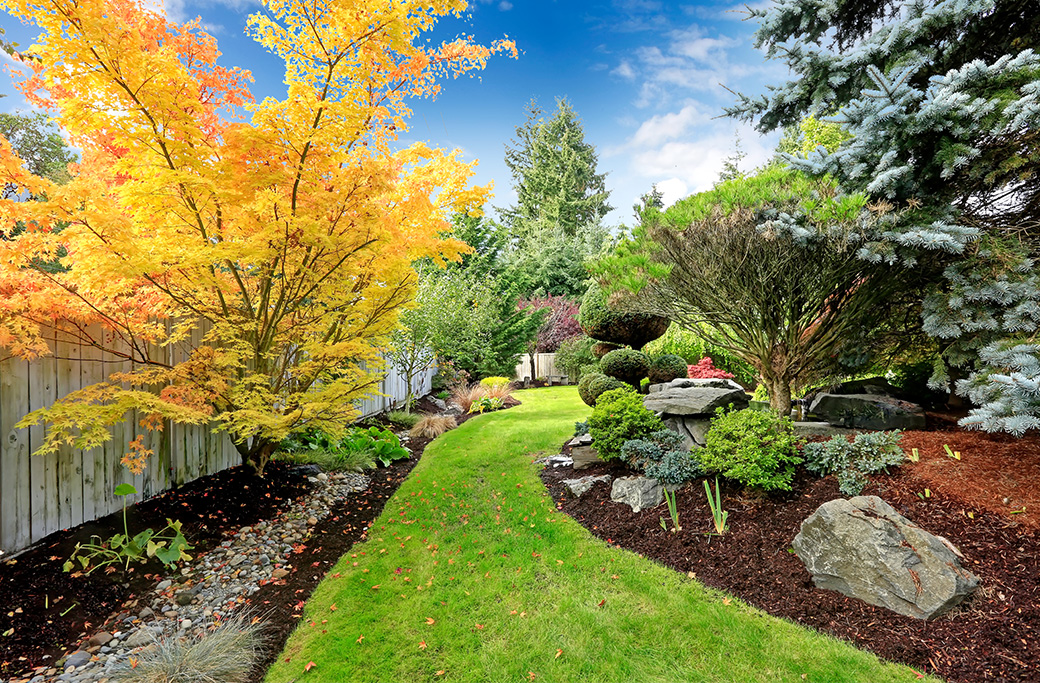 Essential Fall Landscaping: Preparing Your Yard for Winter