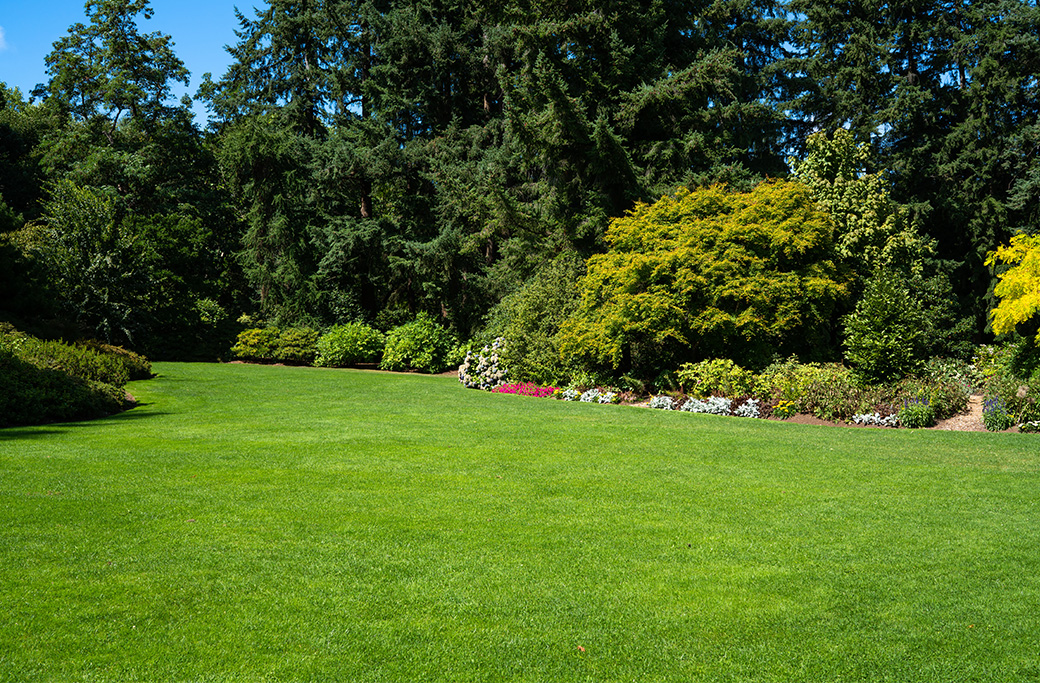 Crafting a Year-Round Lawn Seeding Plan