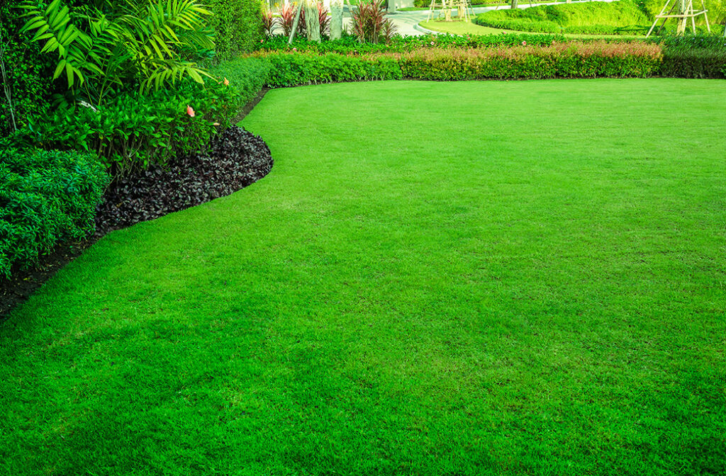 Spring Seeding for Lush Lawns