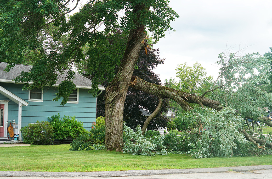 After-Storm Recovery Tips