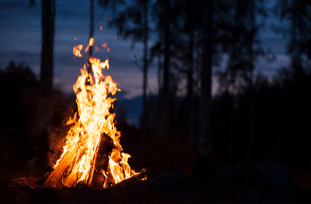 Enjoy Firewood All Year Round