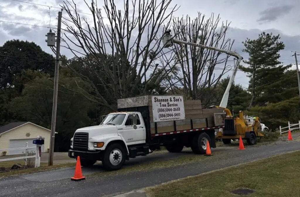 Benefits of Calling Shannon & Sons Tree Service