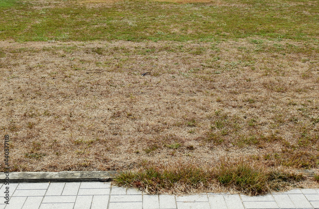 Lawn Care Services Near Yadkinville, NC