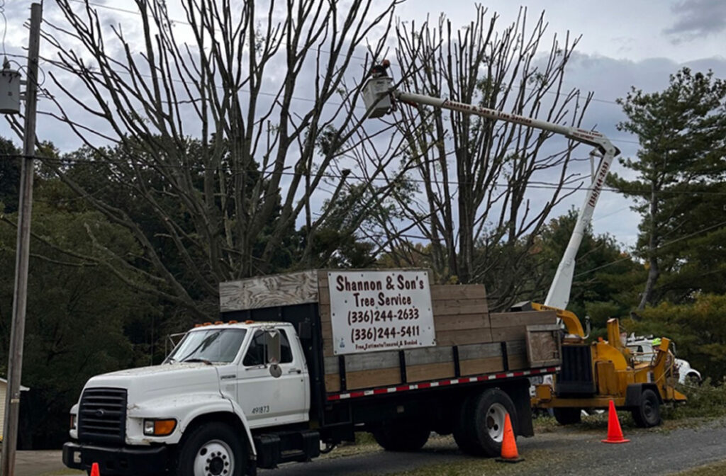 Why Choose Shannon & Sons for Firewood?