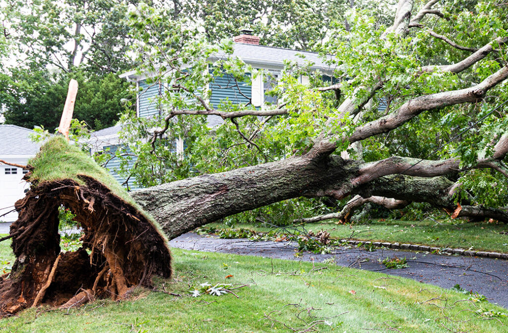 Common Emergency Scenarios in Clemmons