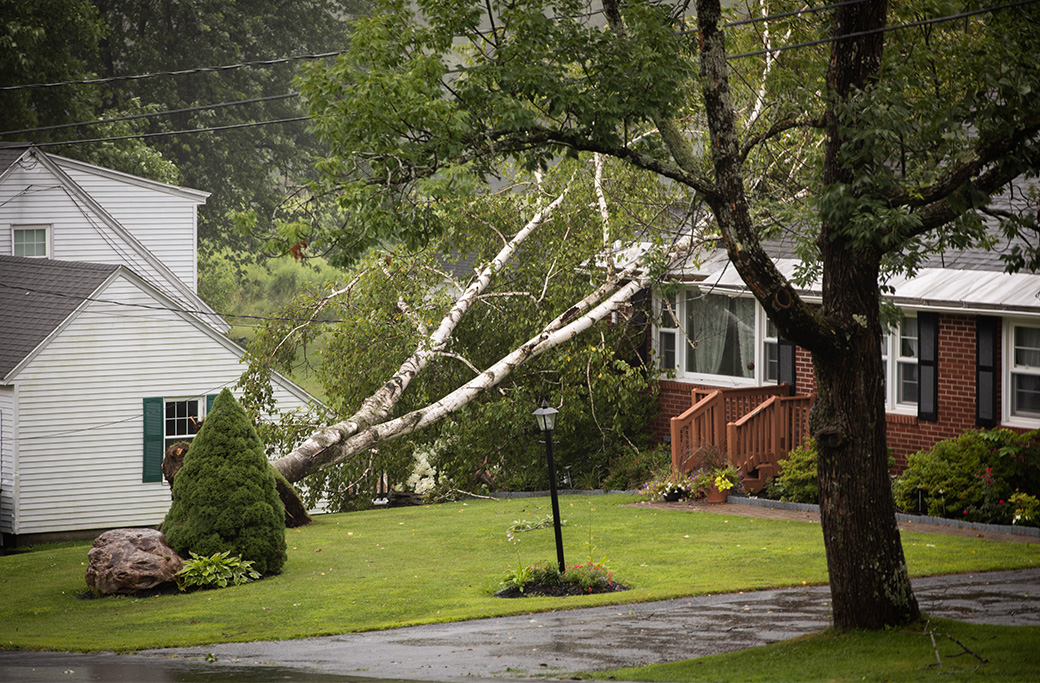 Emergency Tree Service in Clemmons, NC