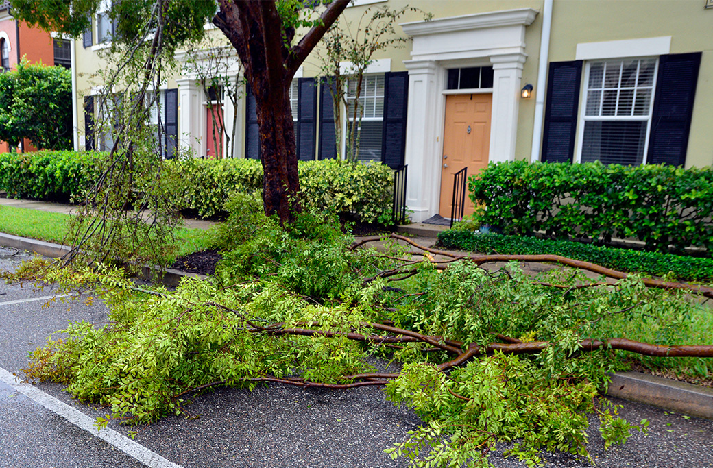 Storm-Damage Emergency Tree Removal in Winston-Salem