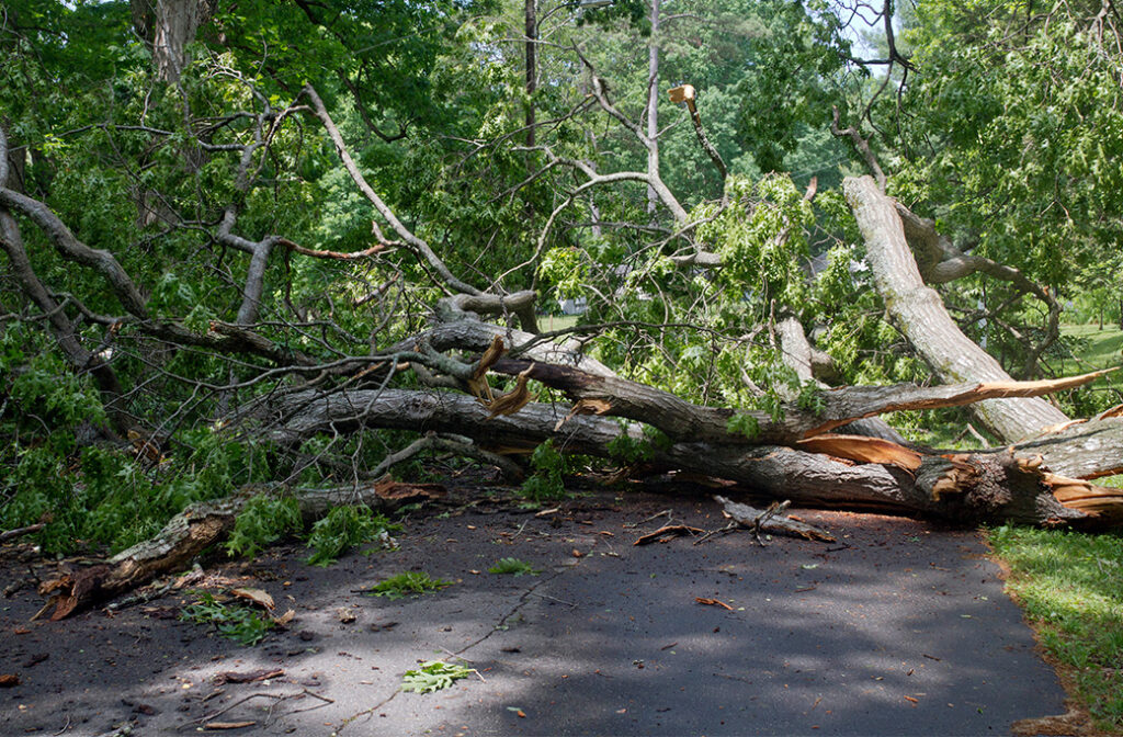 Why DIY Hurricane Prep Can Backfire