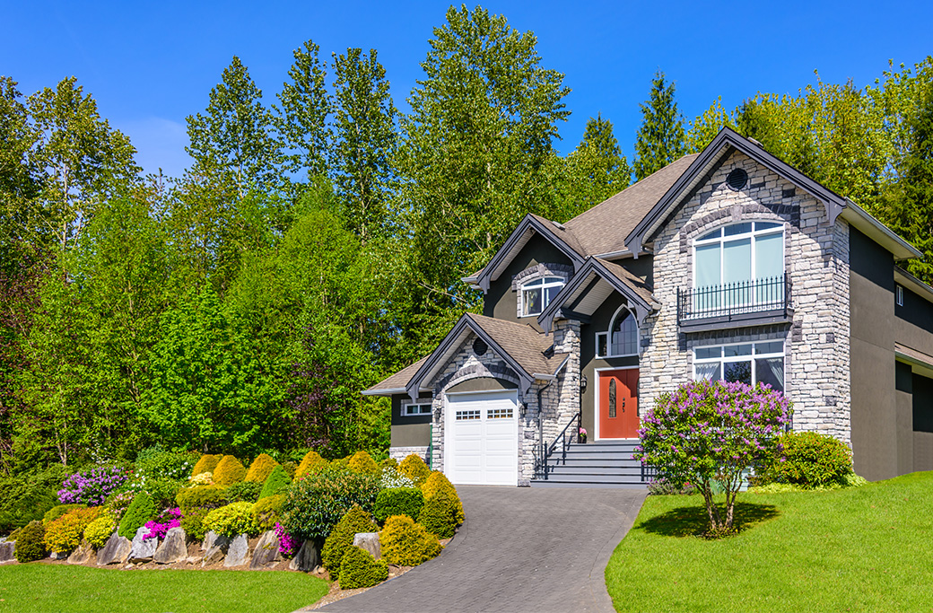 Fall Tree Care to Boost Your Home’s Curb Appeal