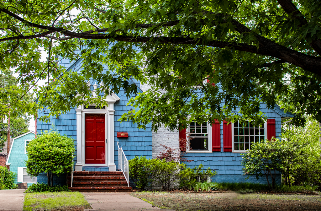 Why Tree Trimming Matters