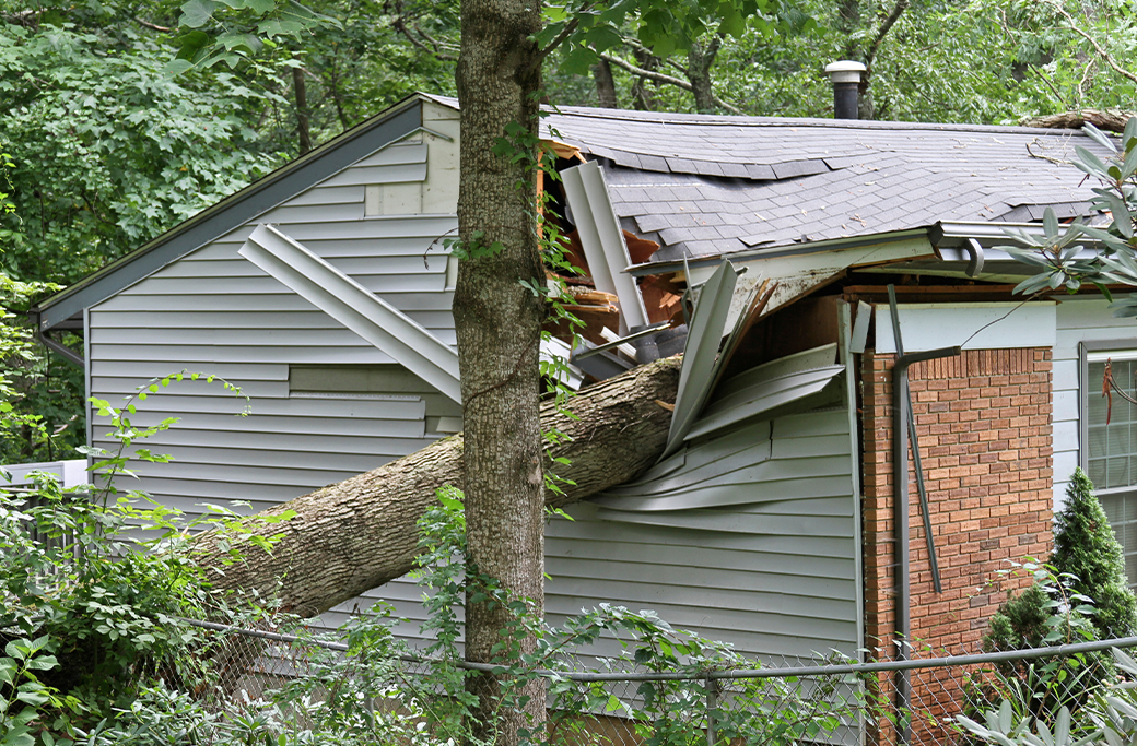 Emergency Tree Service Near Bethania, NC