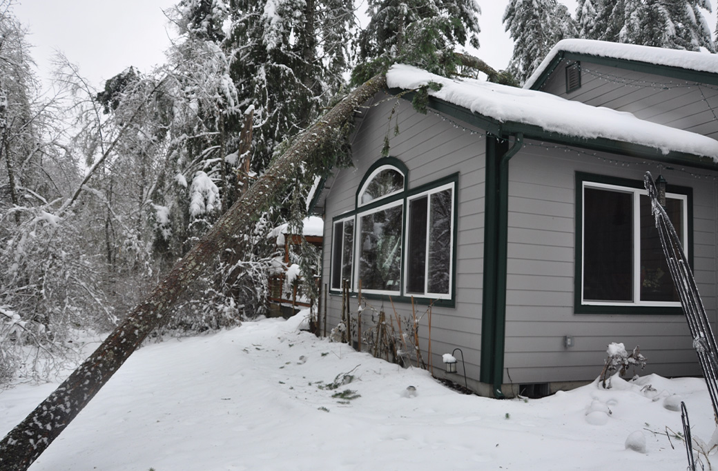 Emergency Tree Service in Bermuda Run, NC