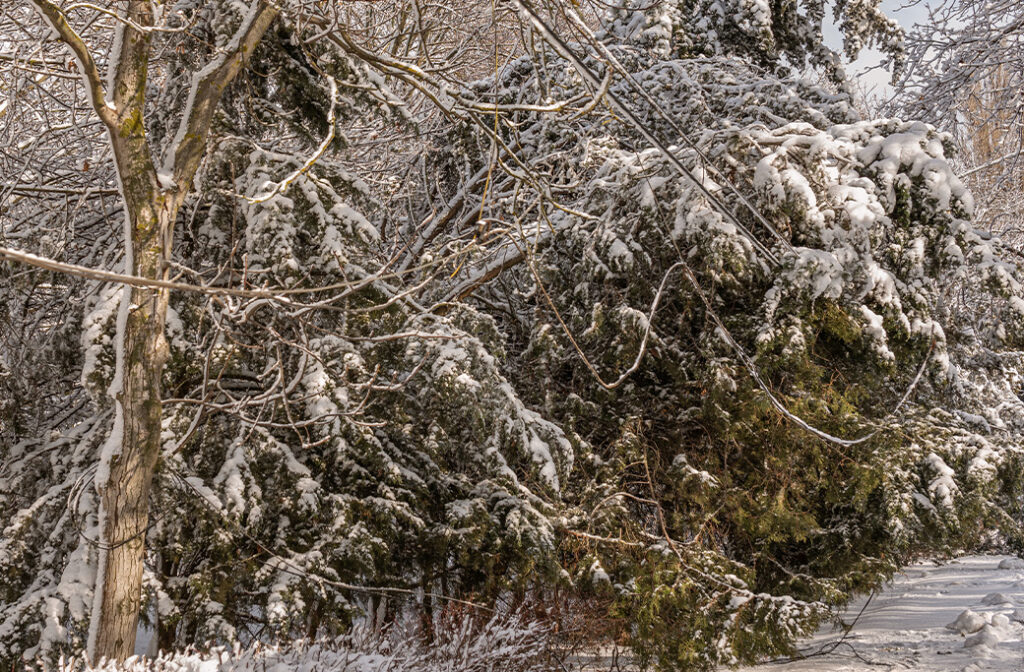 Immediate Safety Comes First