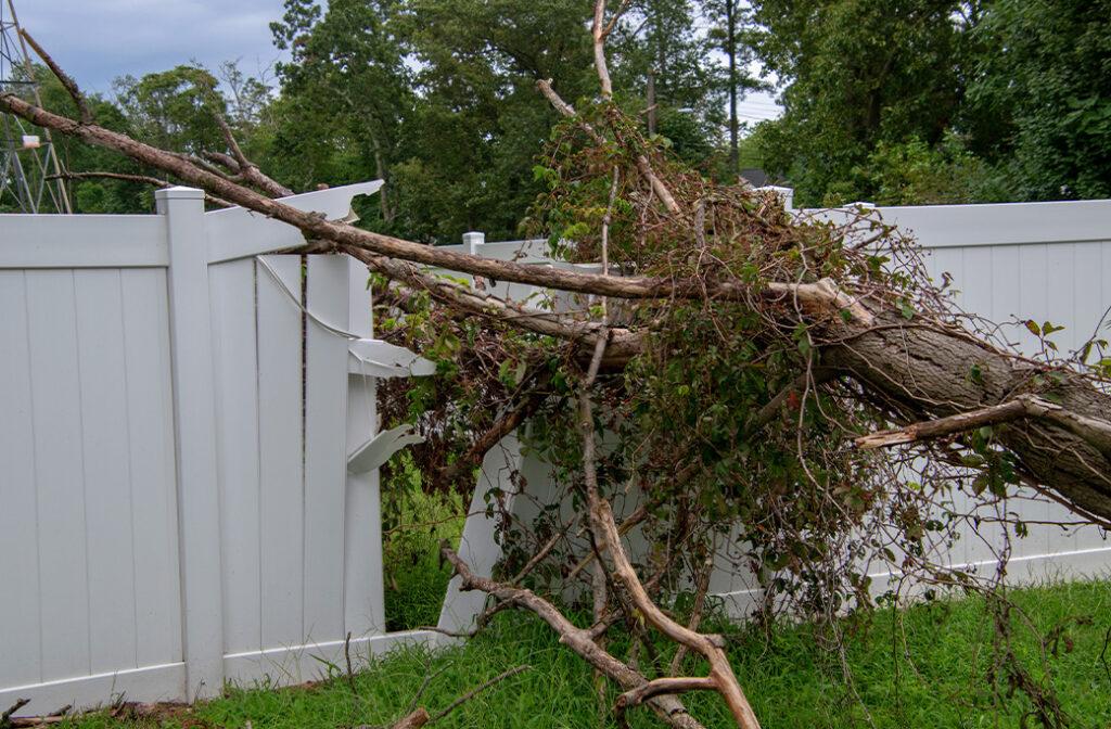 Professional Emergency Removal Process