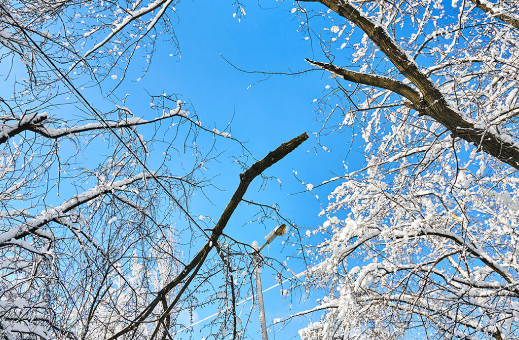 Step 1: Assess the Situation From a Safe Distance