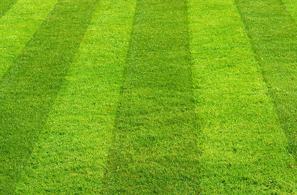 Lawn Care Services Near Bethania, NC