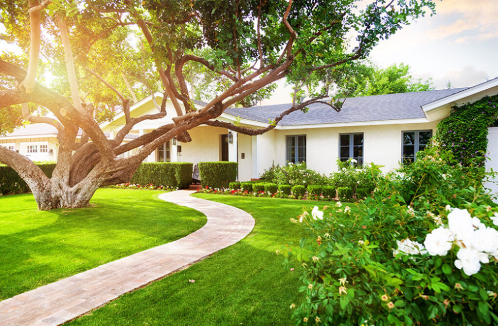 Place Trees Strategically