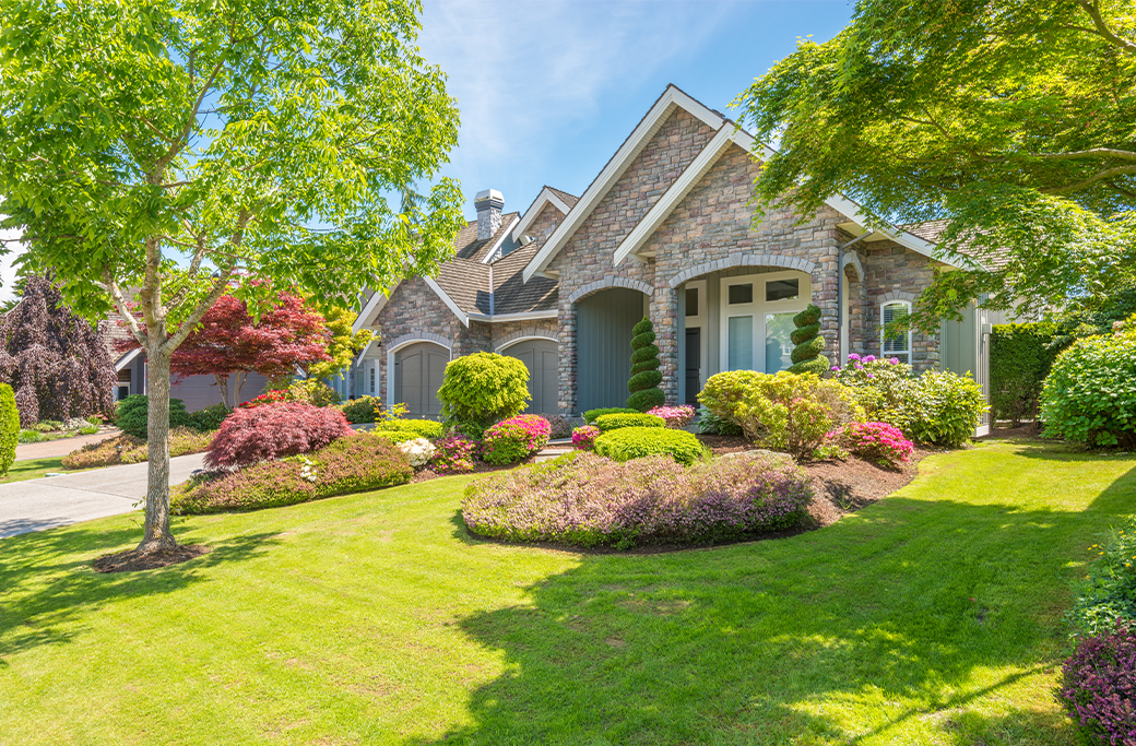 Storm-Resistant Landscaping for Spring Storms in Winston-Salem