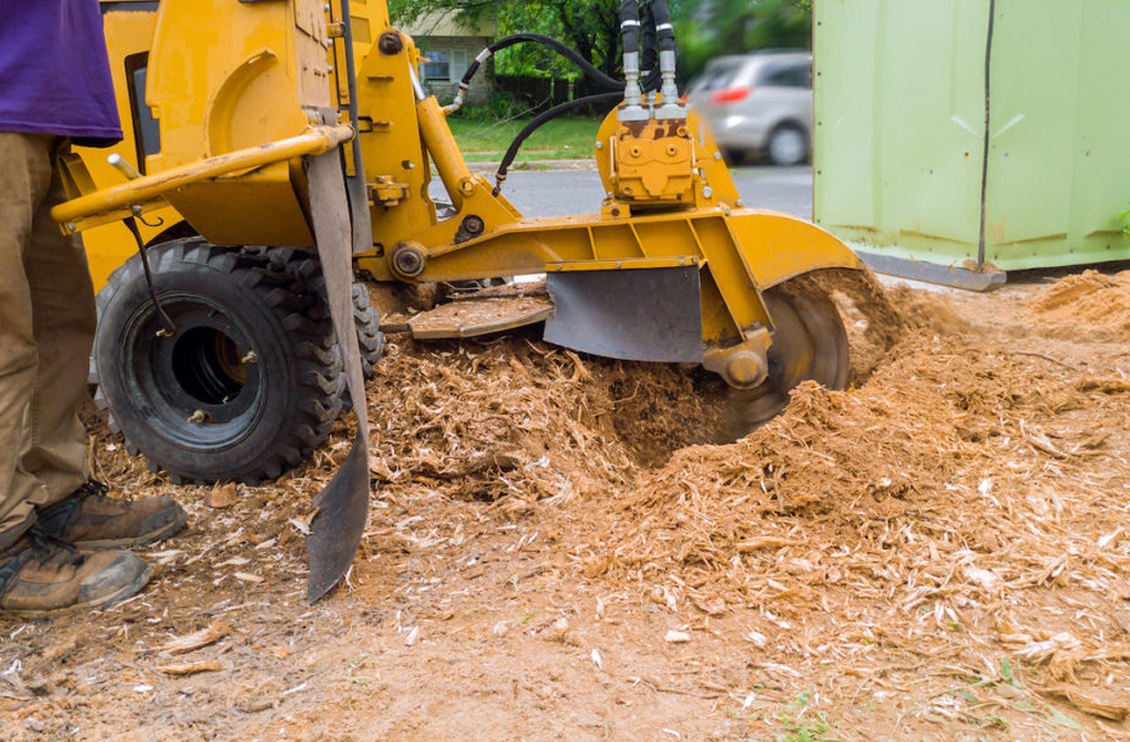 Tree Trunk Grinding Services in Winston-Salem, NC