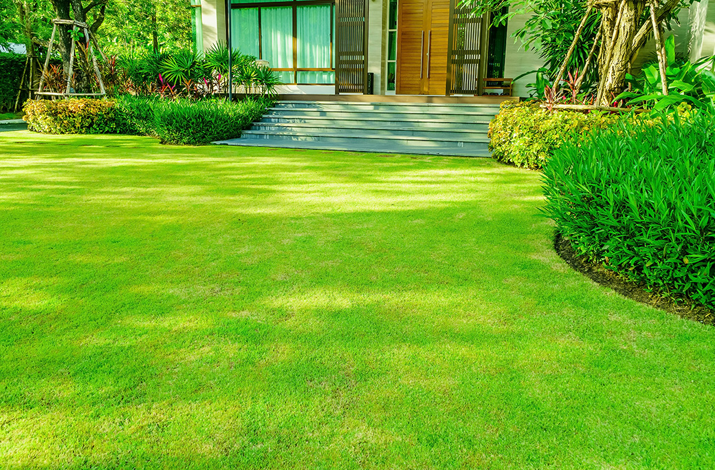 Lawn Care Services in Mocksville, NC for a Healthier Yard