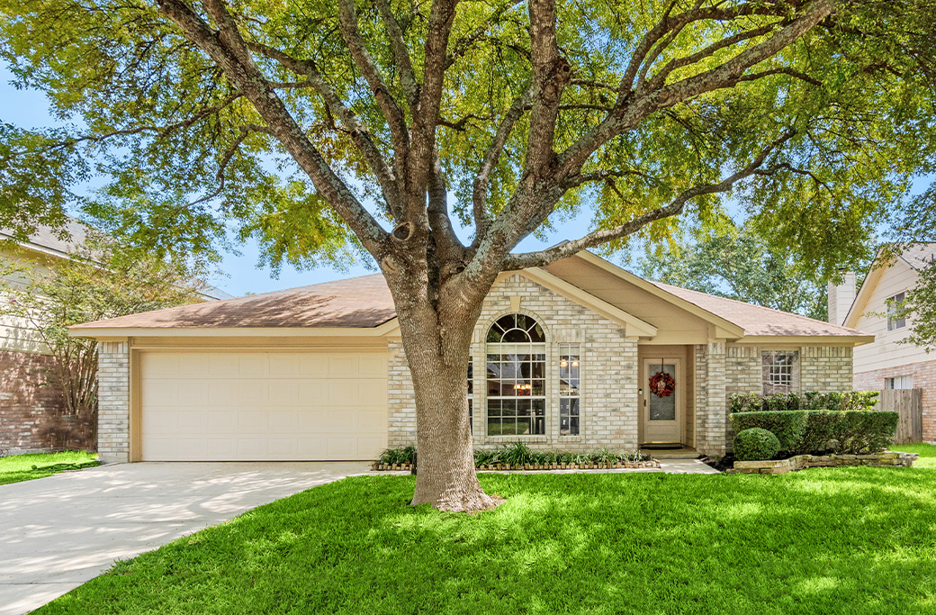 Spring Tree Trimming Tips for Winston-Salem Yards