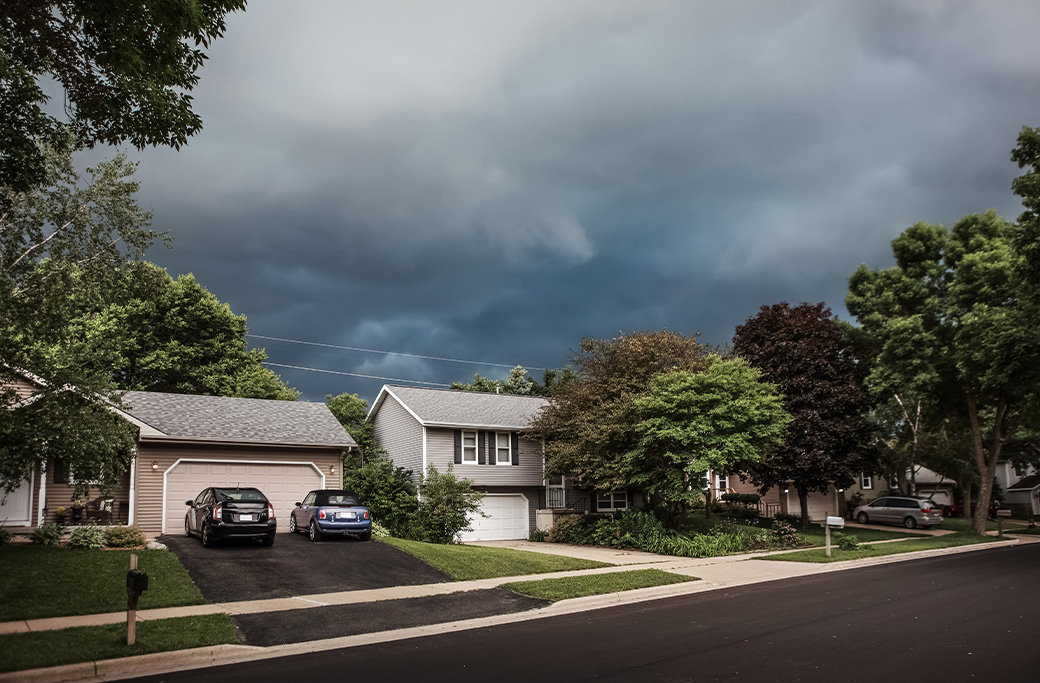 Warning Signs Your Trees Need Attention Before Summer Storms