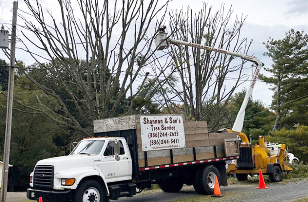 Why Elkin Homeowners Trust Shannon & Sons Tree Service