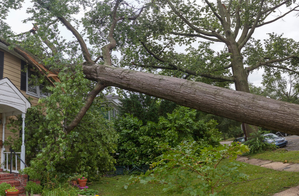 Why Spring Storms Are a Concern in Elkin, NC