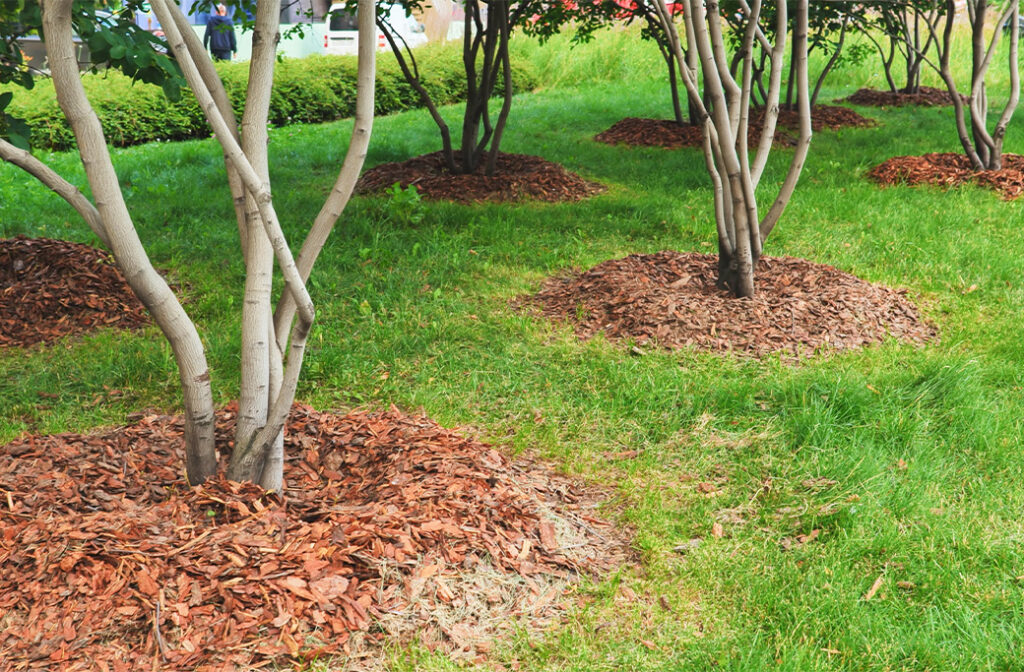 How Can Homeowners Create an Environmentally Friendly Yard in Winston-Salem?