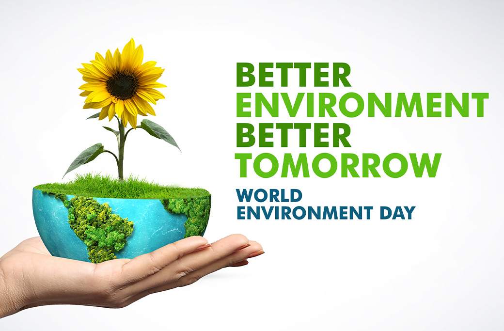 How Professional Tree Care Supports a Healthier Environment