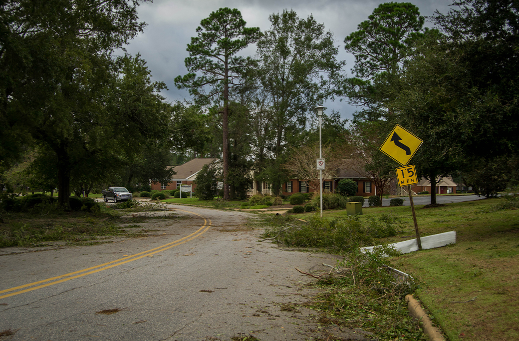 Hurricane Season Tree Prep for Winston-Salem Homeowners