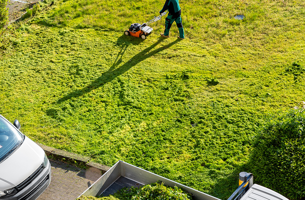 Lawn Care Services in Elkin, NC | Shannon & Sons Tree Service