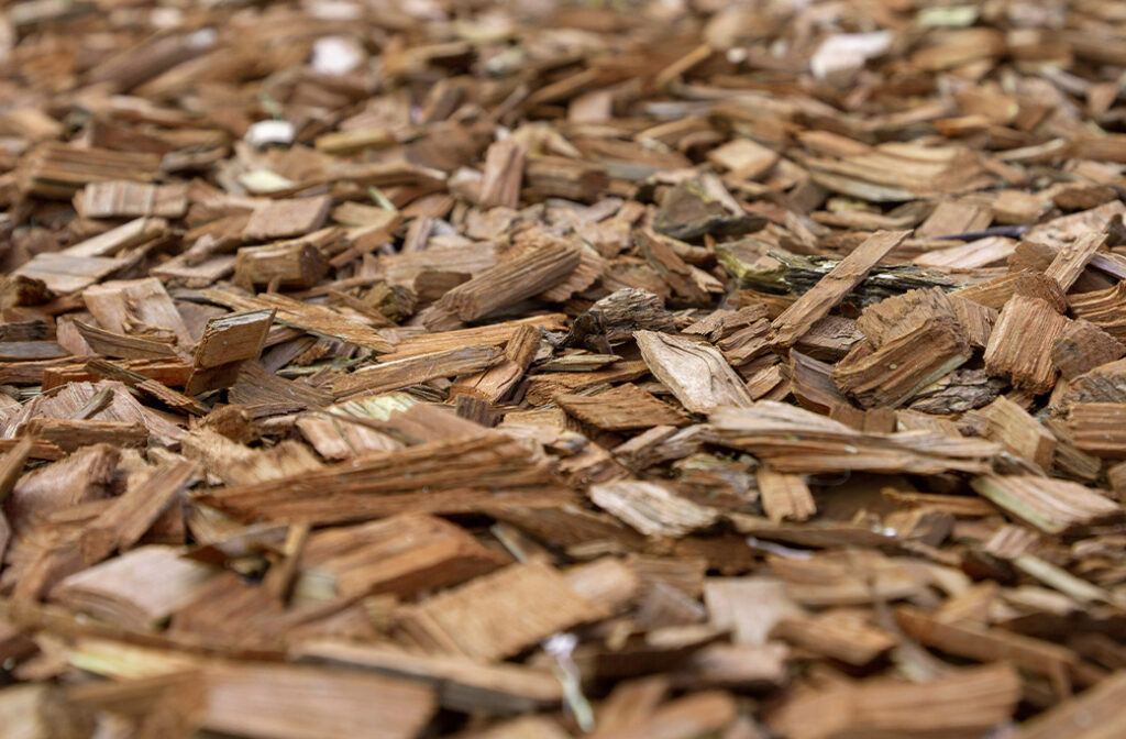 Natural hardwood mulch or untreated wood chips are the best choice around North Carolina trees